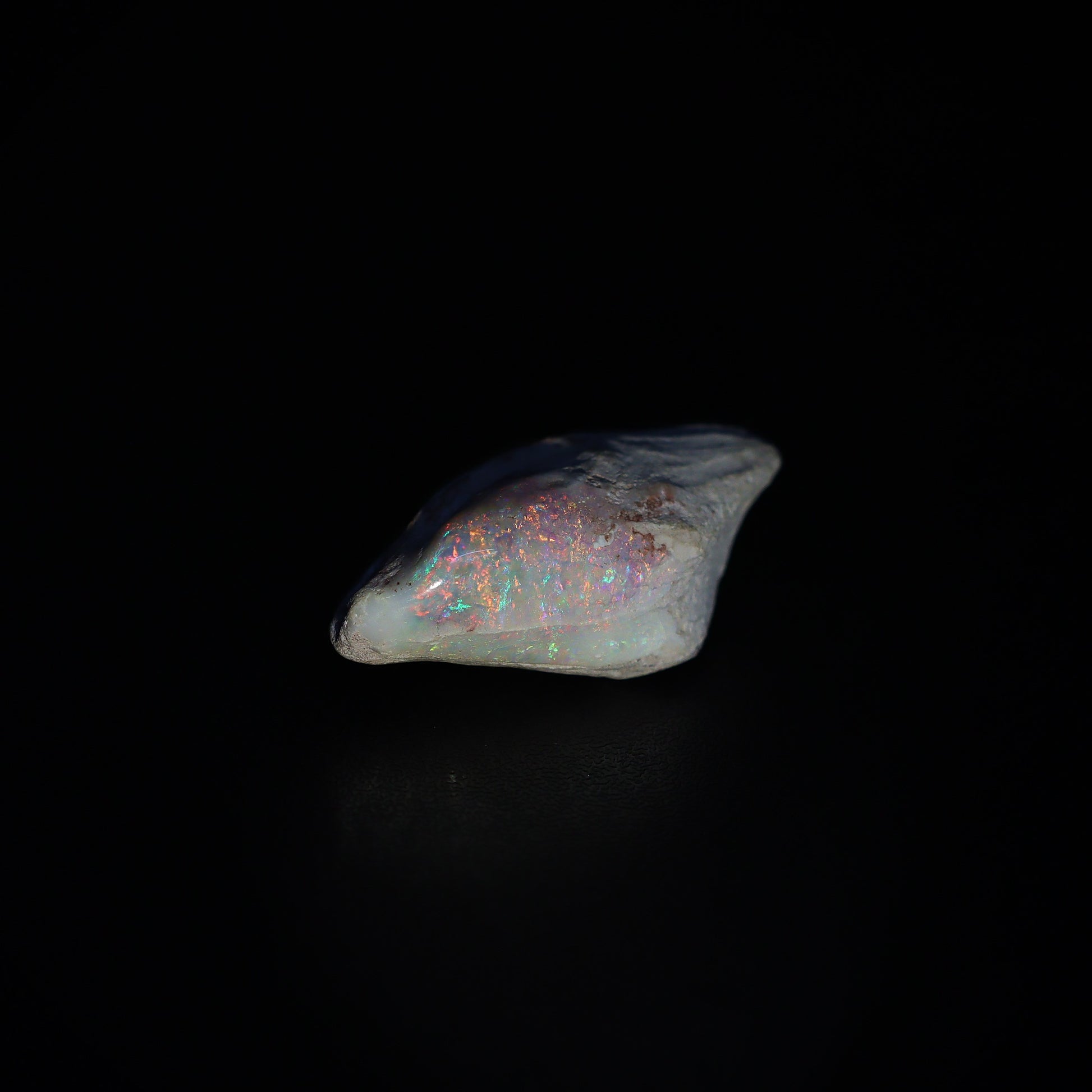 Australian Fossilized opal shell 