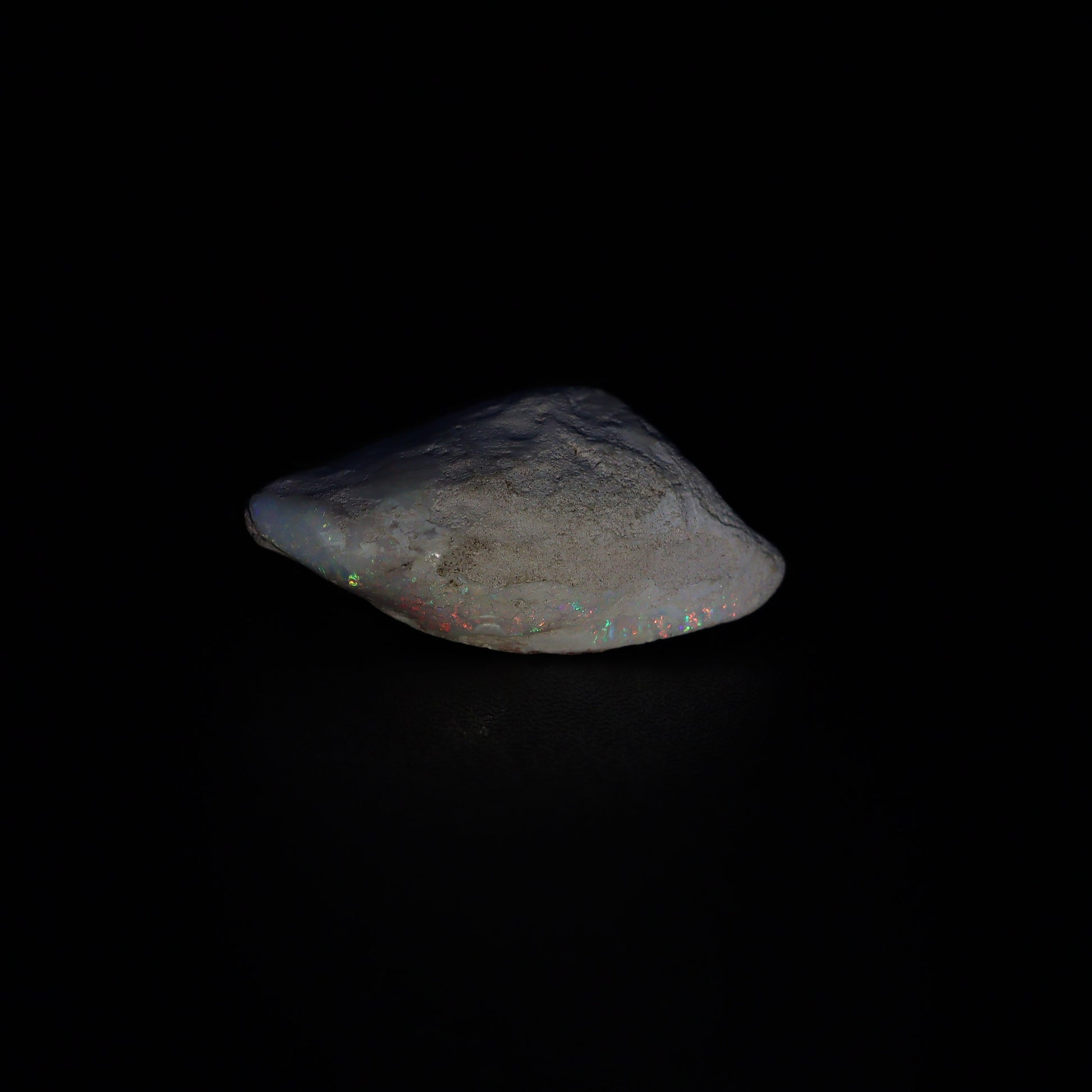 Australian Fossilized opal shell 