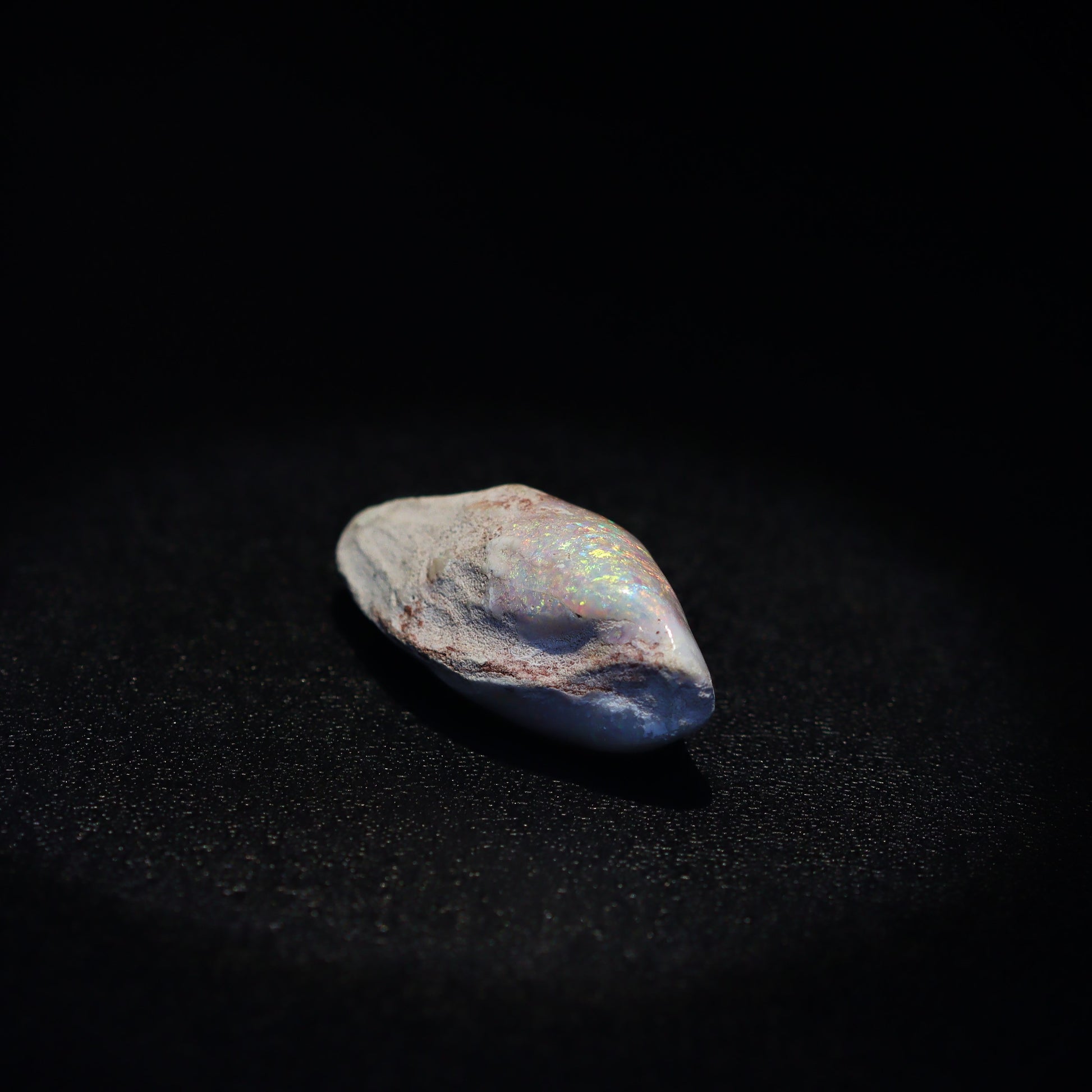 Australian Fossilized opal shell 