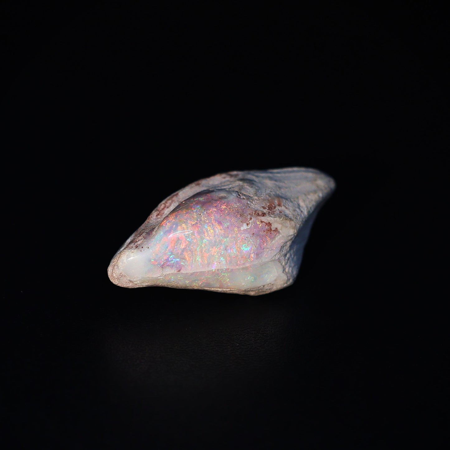 Australian Fossilized opal shell 