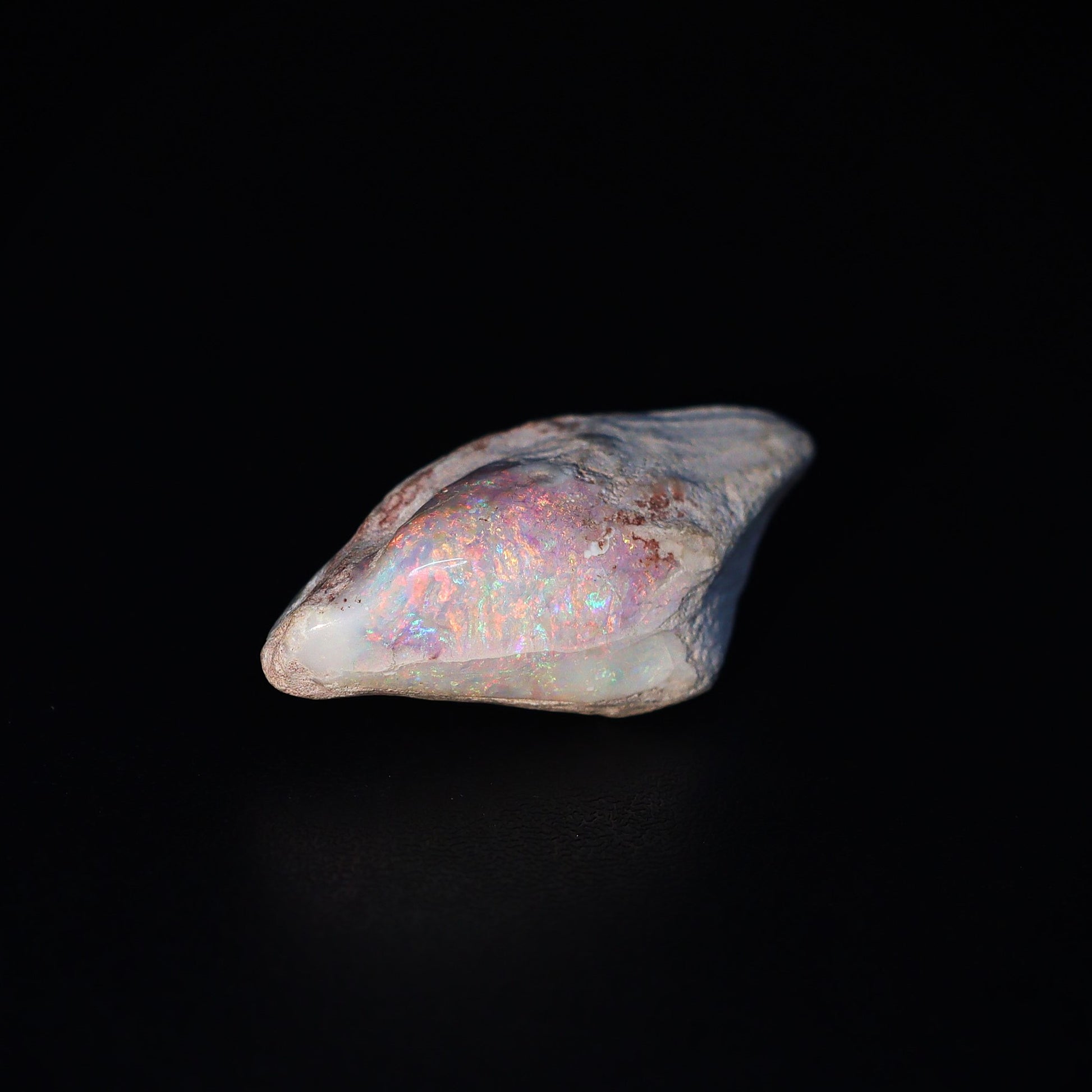 Australian Fossilized opal shell 
