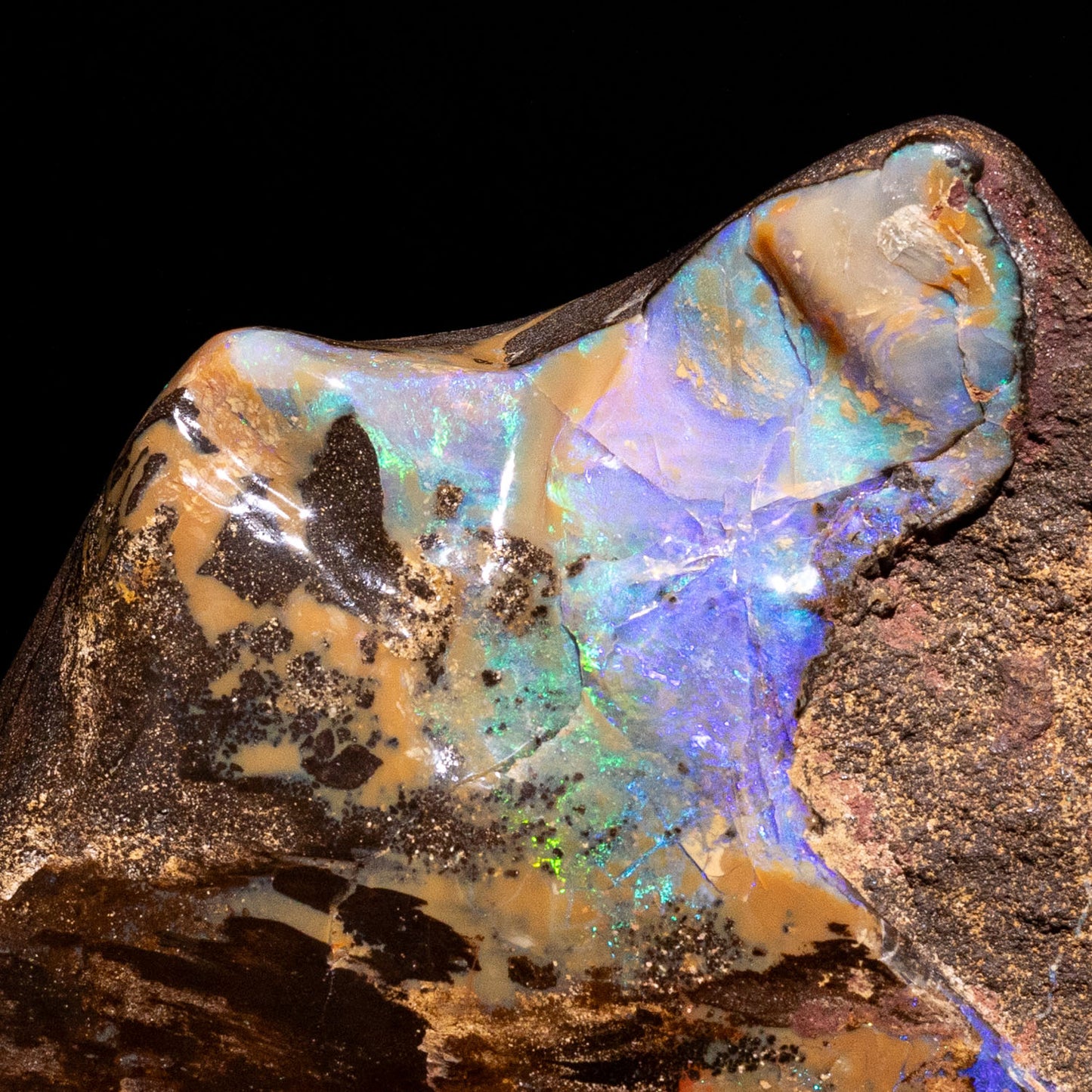 Australian Boulder Opal Specimen – Queensland Fields