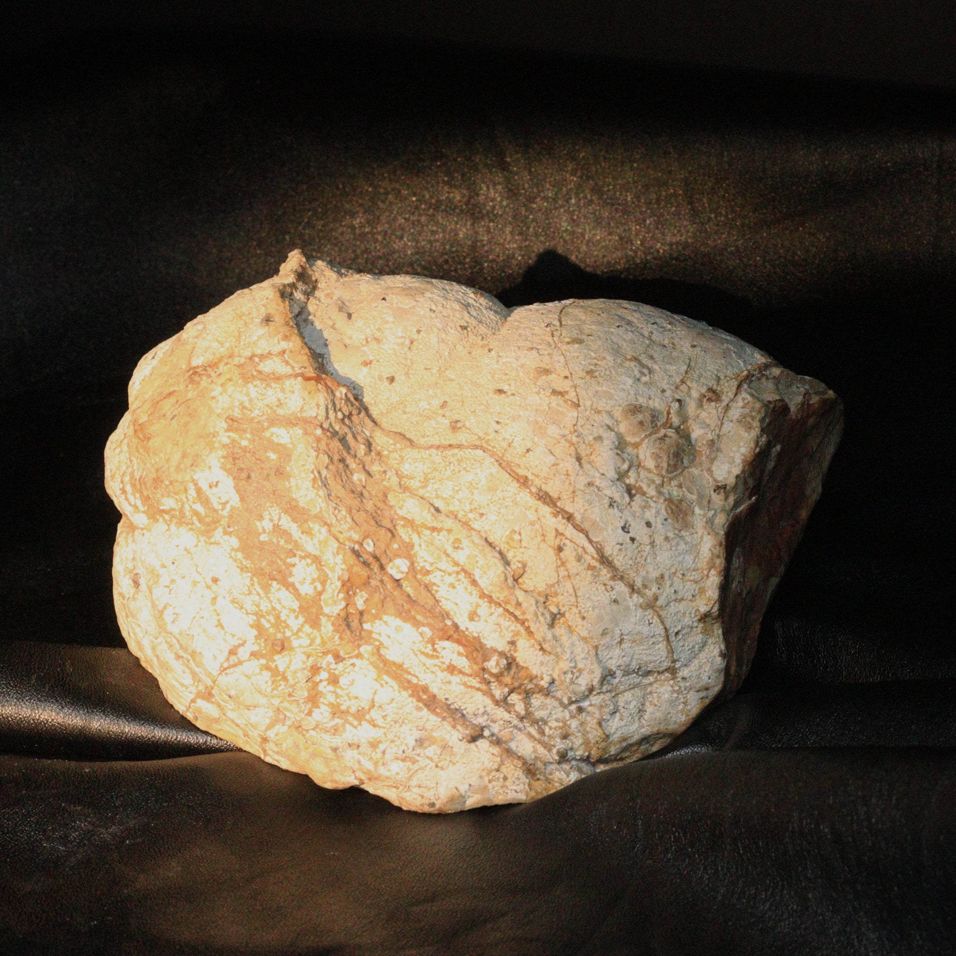 Australian Thunderegg 