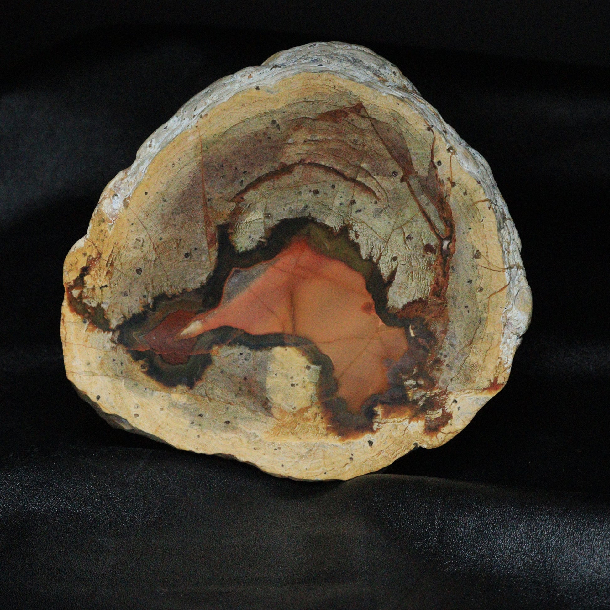 Australian Thuneregg 
