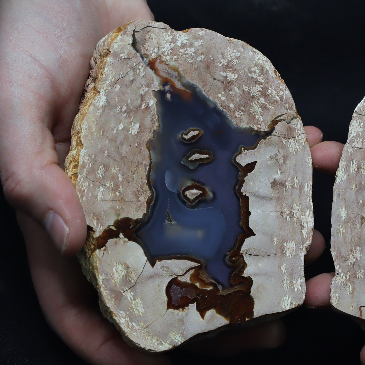 Australian Thunderegg 