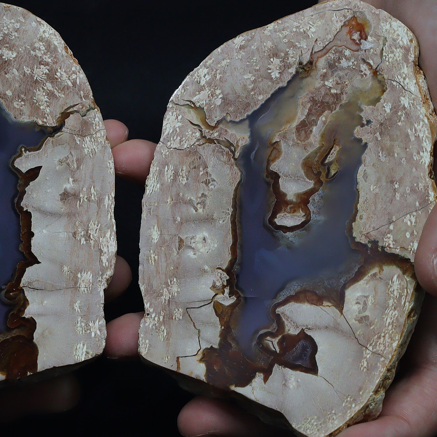 Australian Thunderegg 