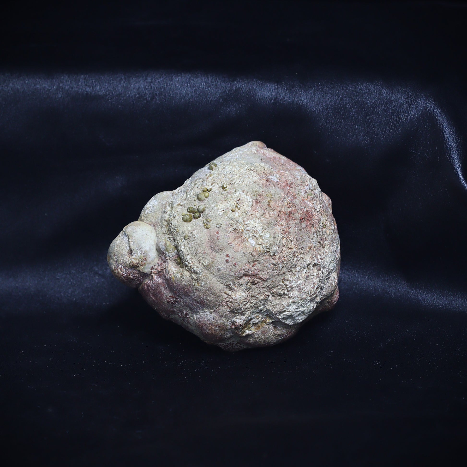 Australian Thunderegg 