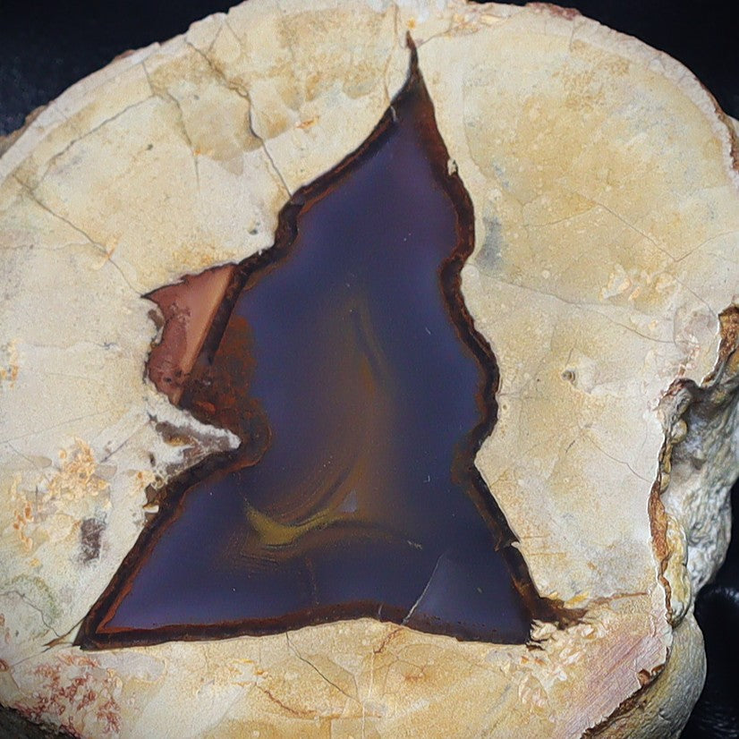 Australian Thunderegg 