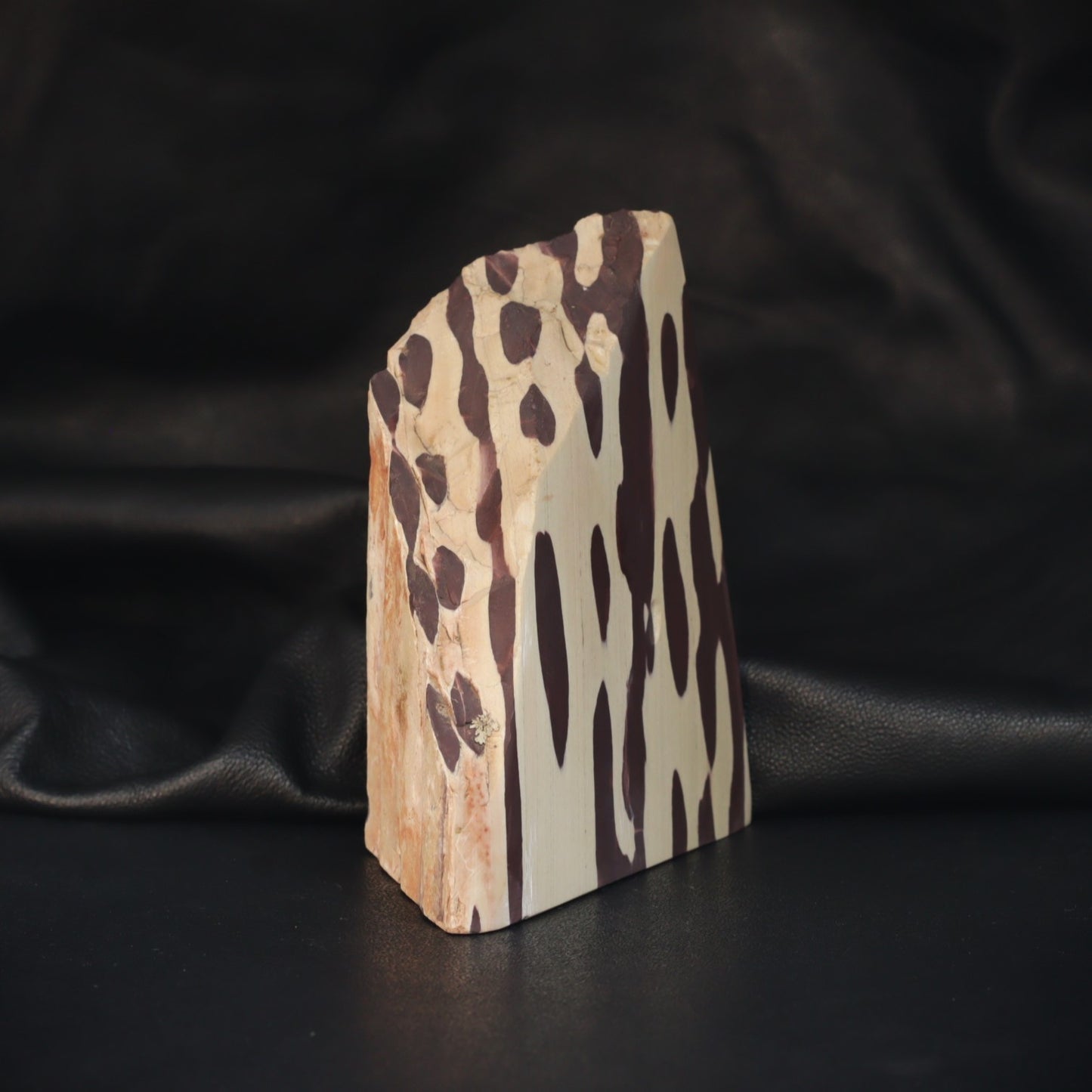 Australian Zebra Rock specimen