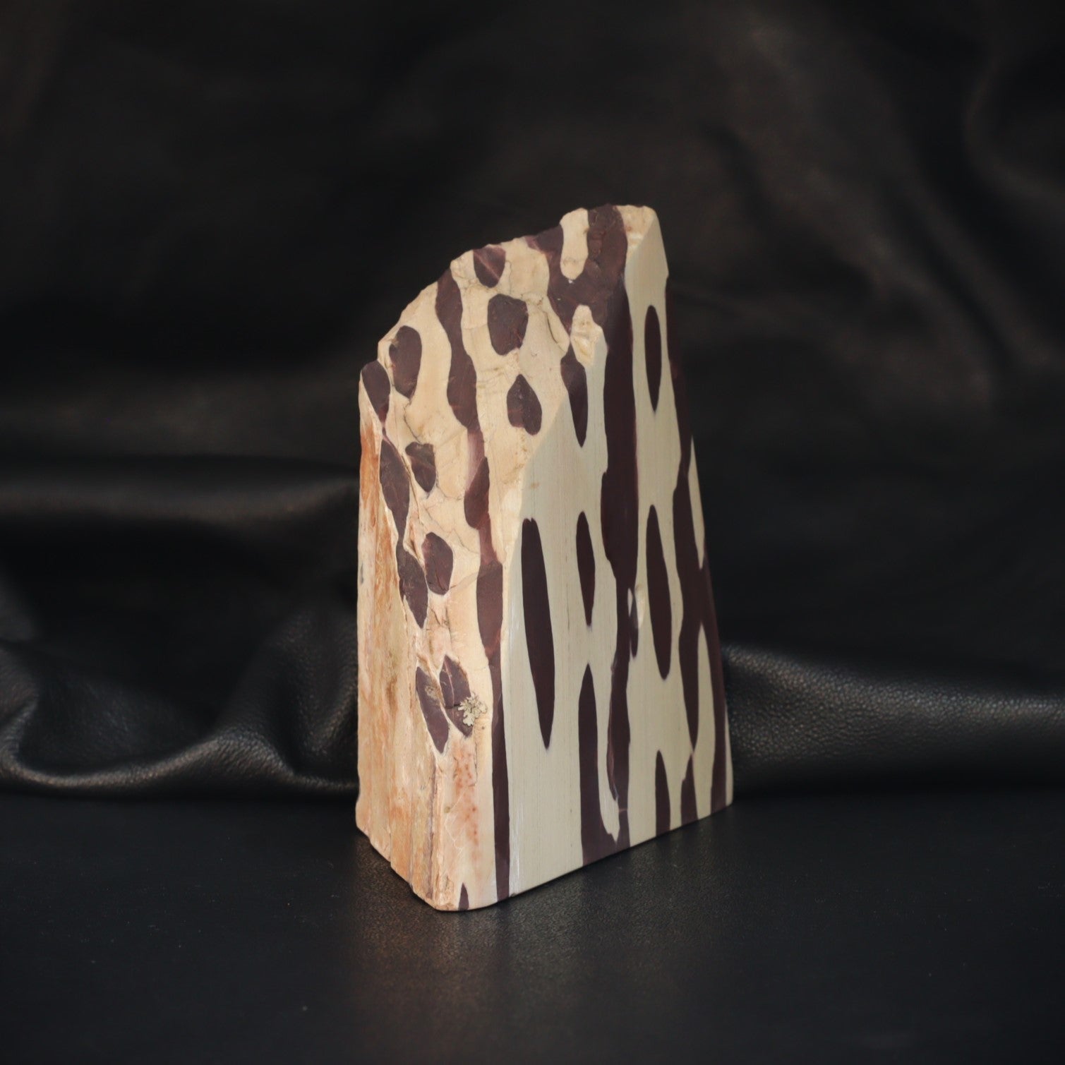 Australian Zebra Rock specimen