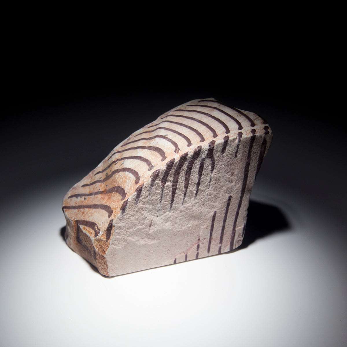 Australian Zebra Rock - 5