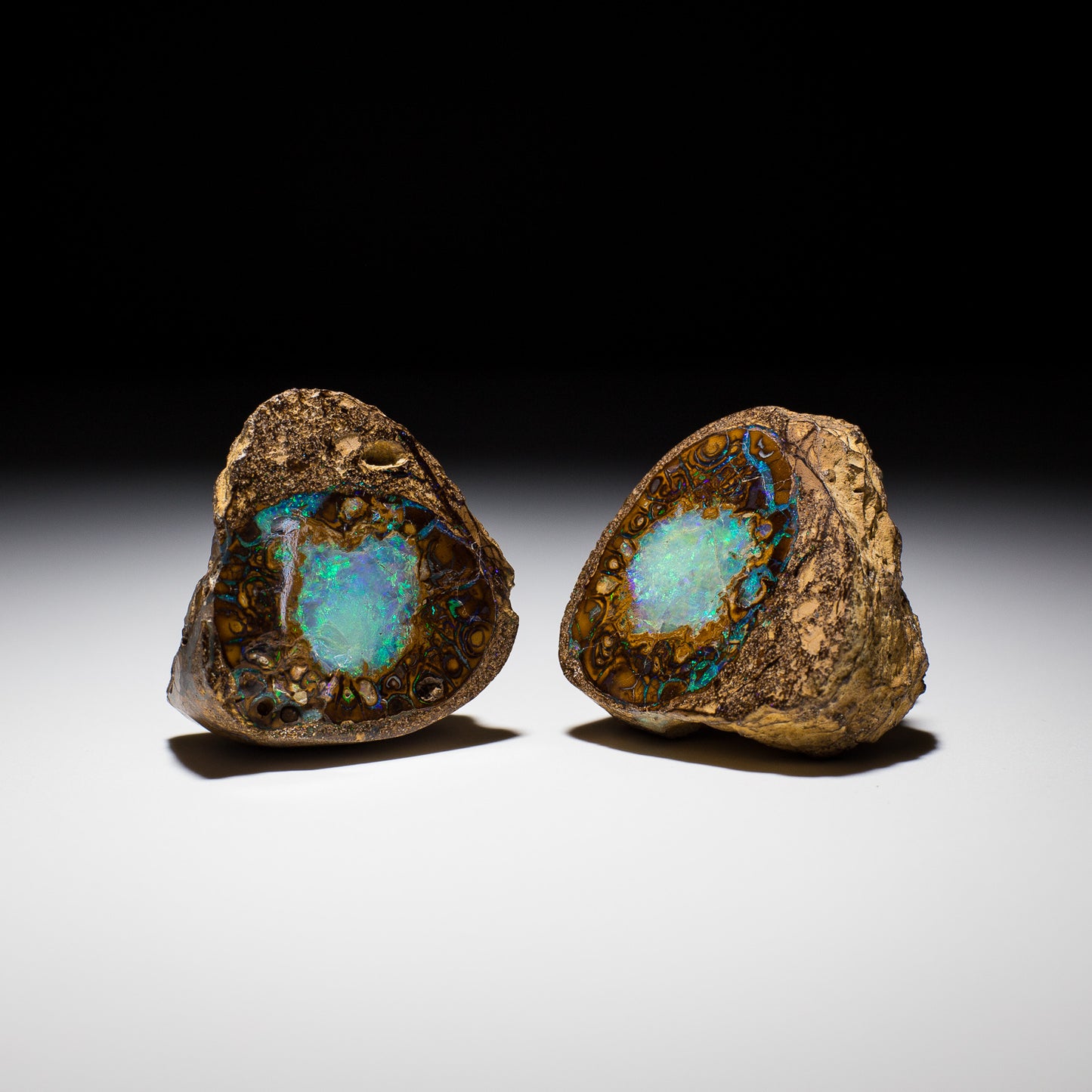 Australian Boulder Opal Specimen / Pair - 14