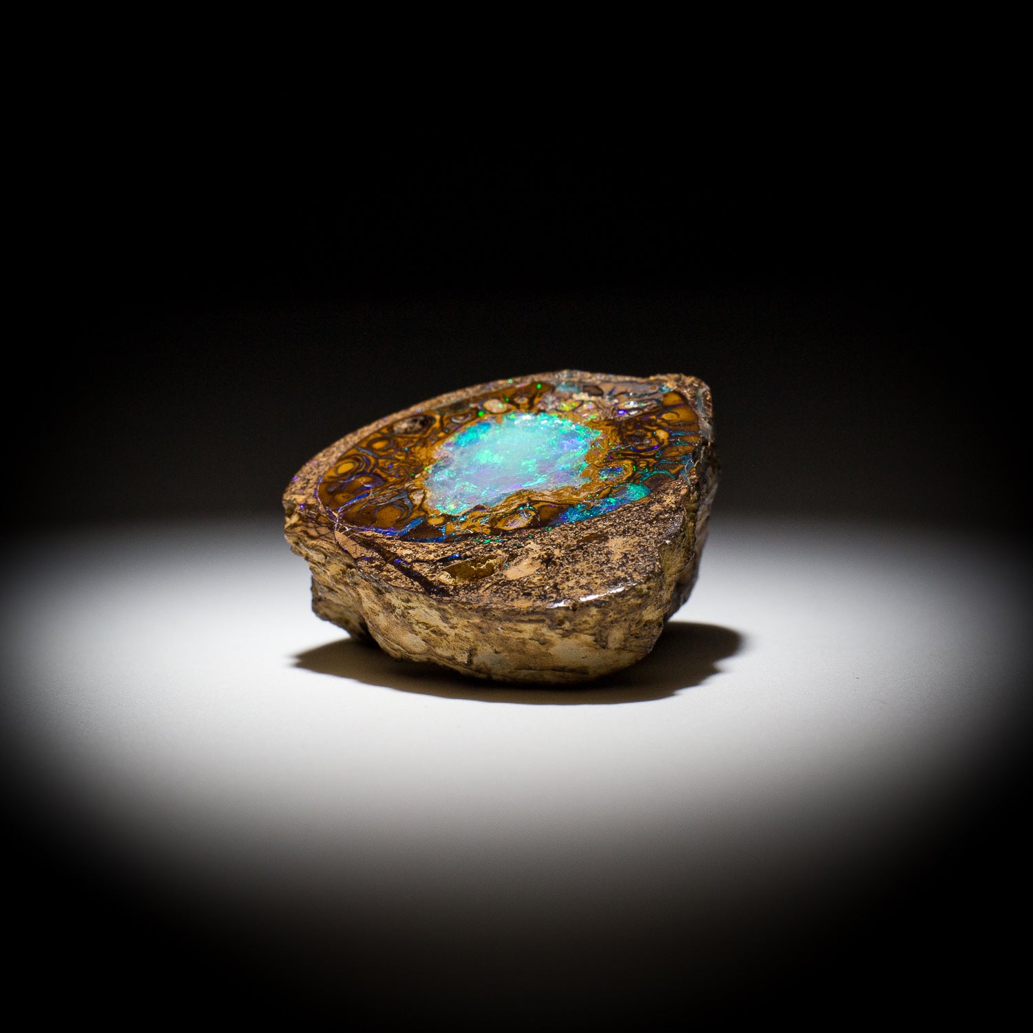 Australian Boulder Opal Specimen / Pair - 14