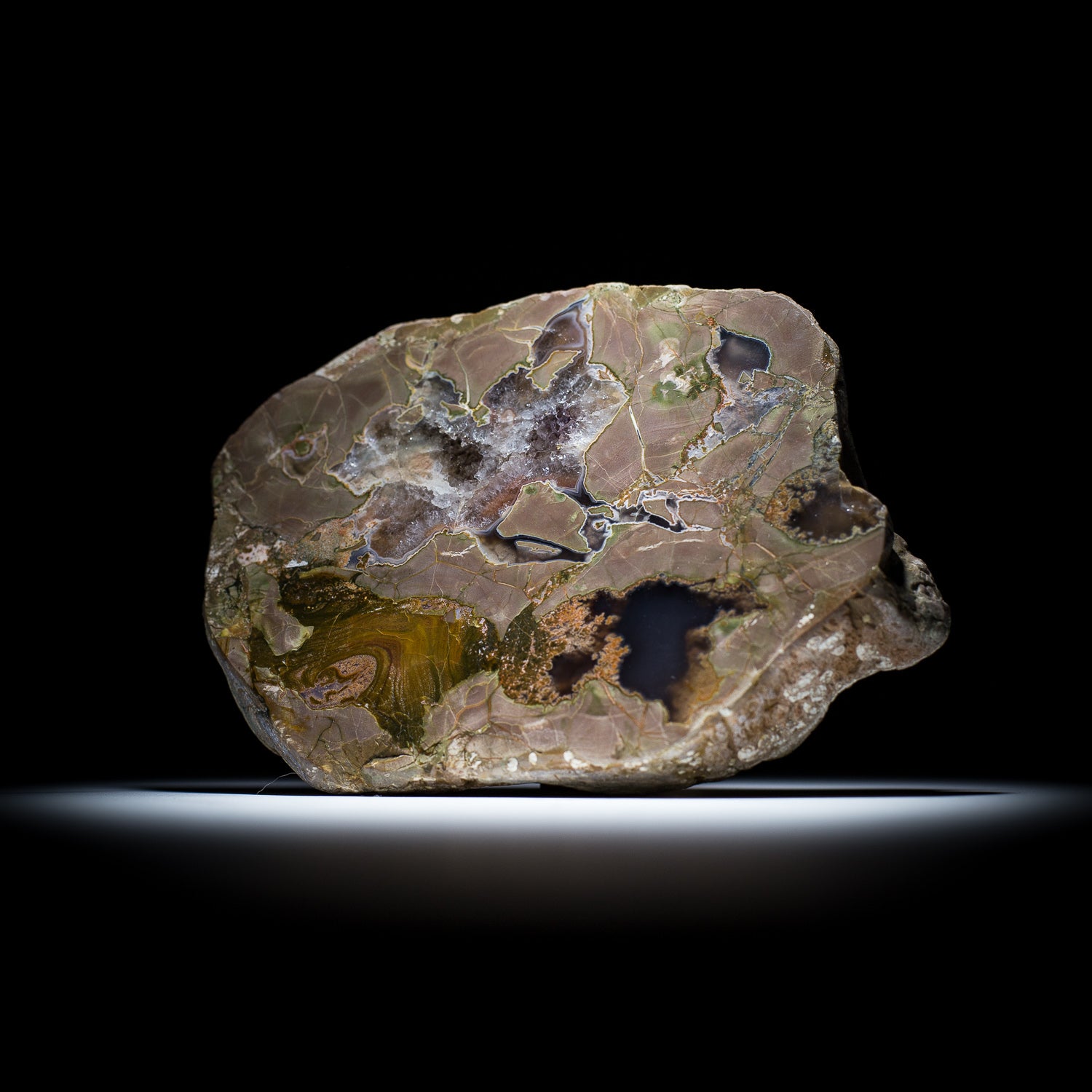 Thunderegg - 7