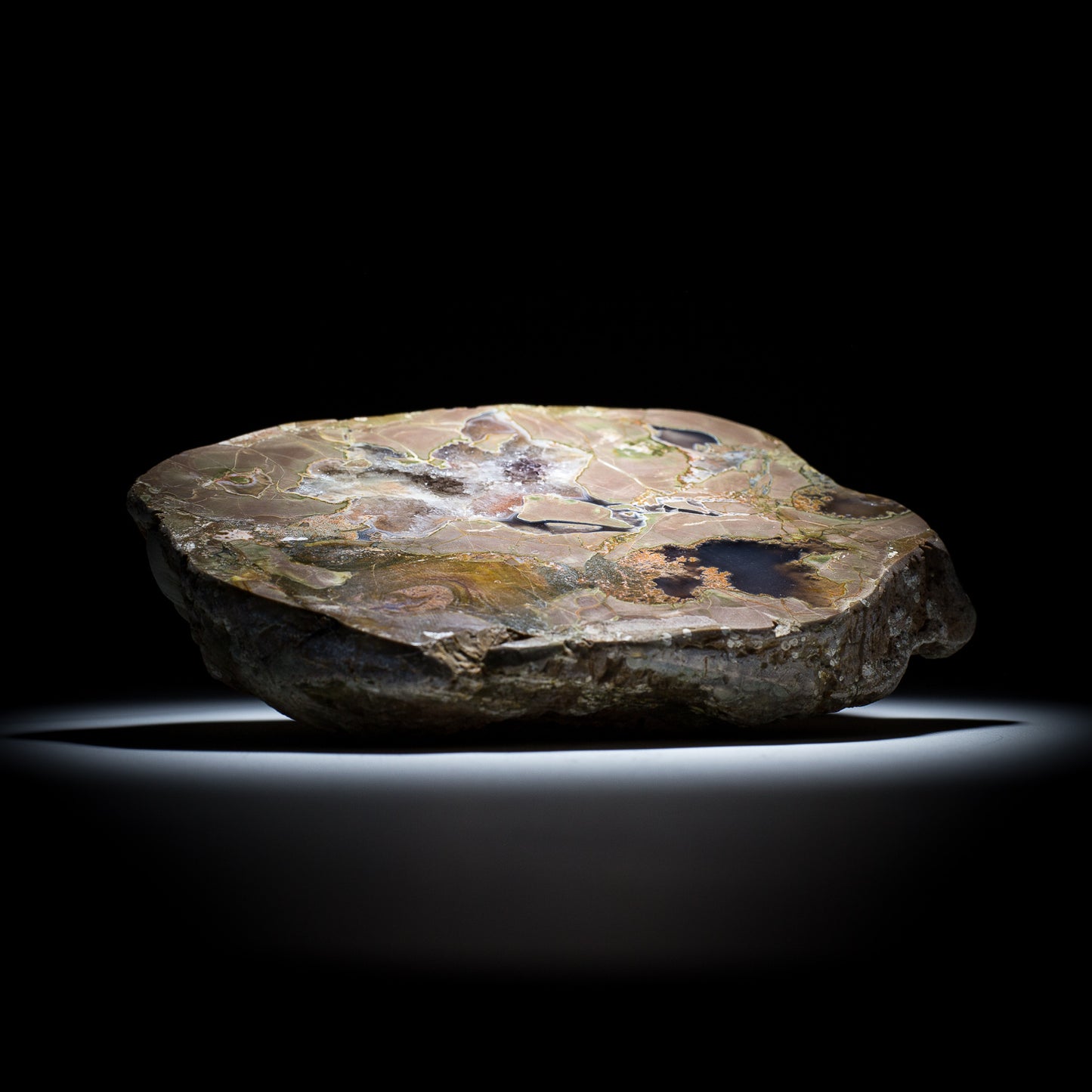 Thunderegg - 7