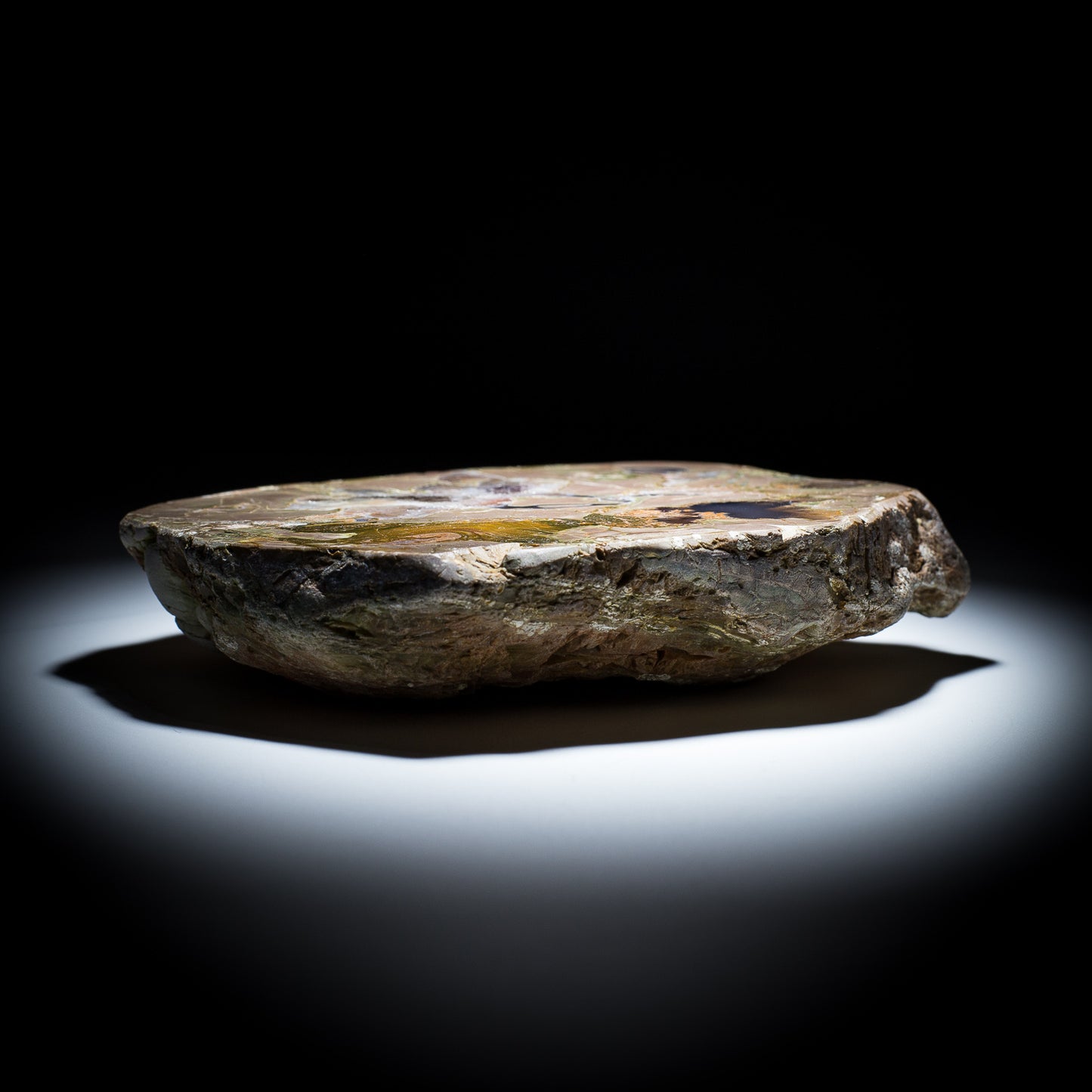 Thunderegg - 7