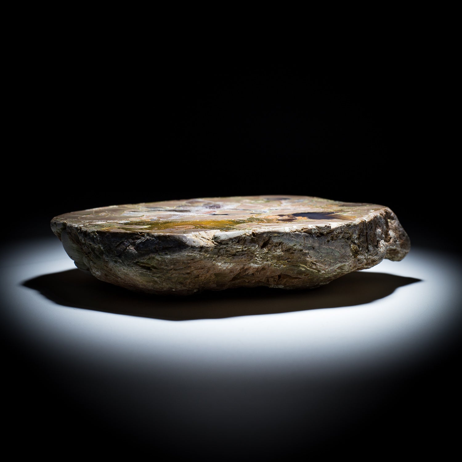 Thunderegg - 7