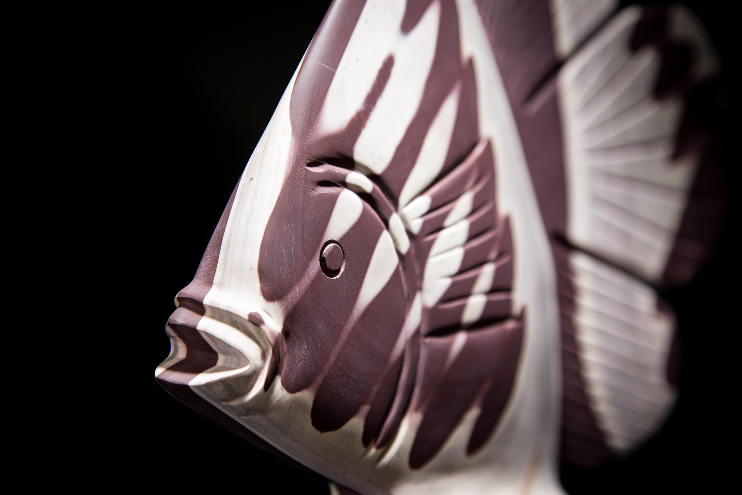 Zebra Rock "Fish"