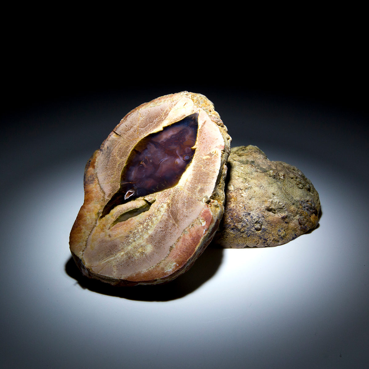 Thunderegg Pair - 2