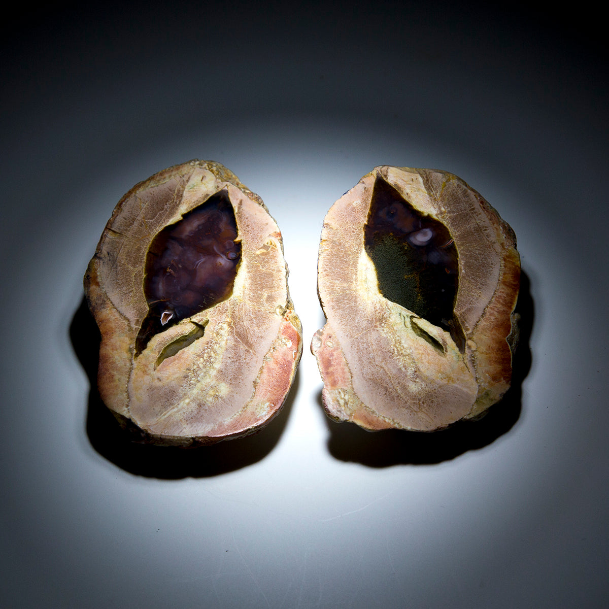 Thunderegg Pair - 2